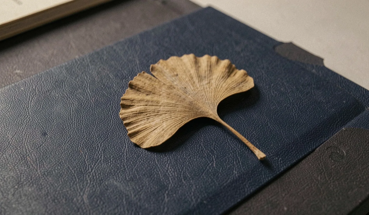 Botanical specimen study